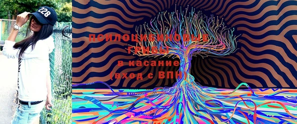 эйфоретик Баксан